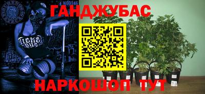 гидропоника Обнинск